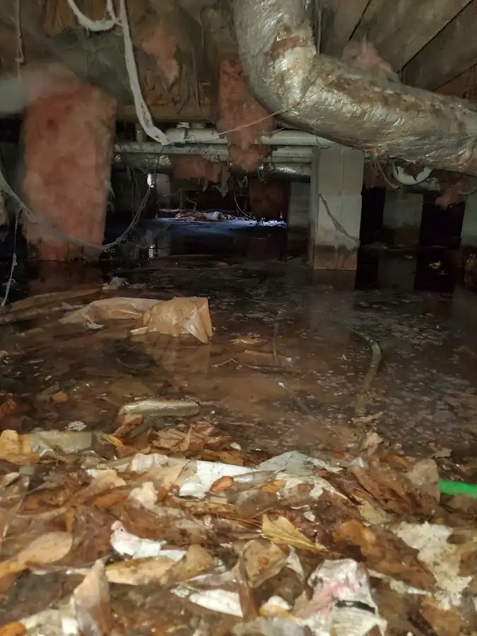 Crawl space flood assessment for Leak Detection & Repair in Rathdrum